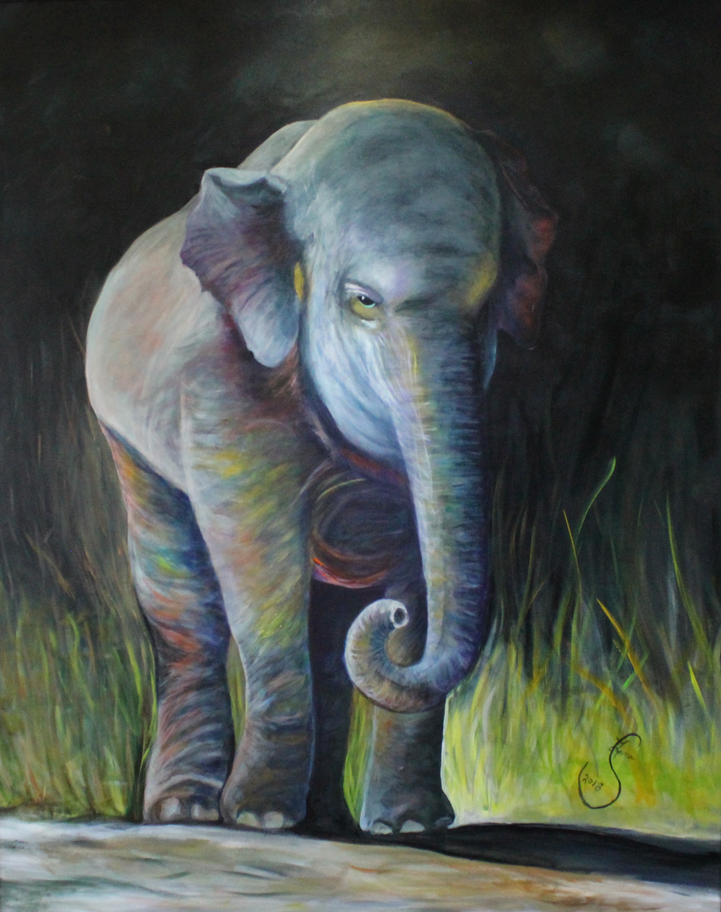 Elephant